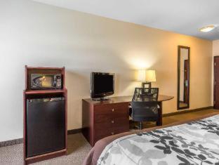 Sleep Inn & Suites Bush Intercontinental - Iah East Humble Rom bilde